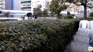 富二代91视频,成人视频高清免费观看
